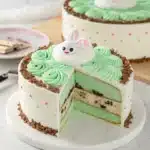 sliced labubu cakes baskin robbins mint chip