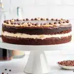 tuxedo cake with layered mousse and ganache