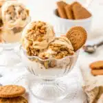 Scoop of Biscoff Ice Cream with cookie swirl in a waffle cone