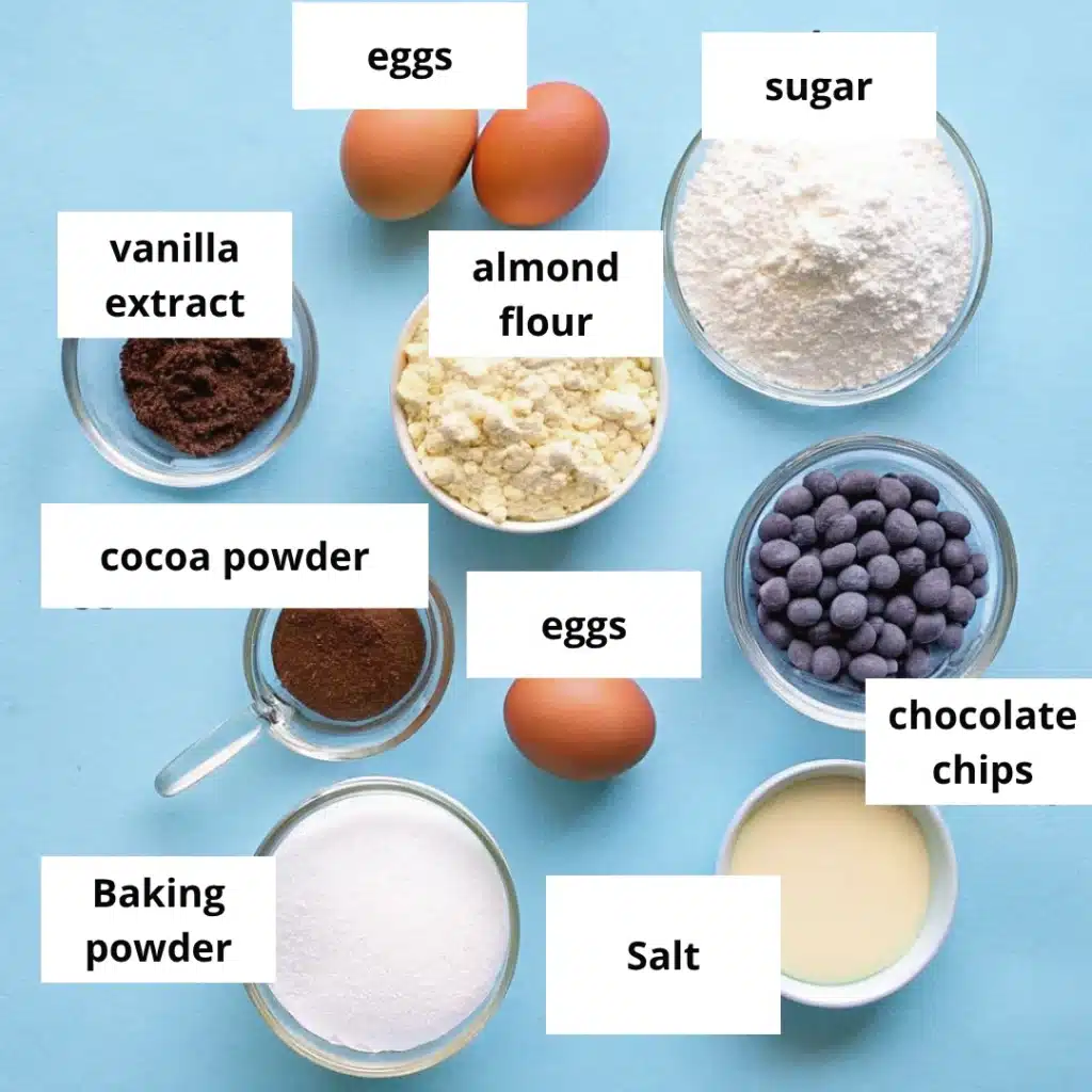 Labeled ingredients for almond chocolate cake including almond flour, cocoa powder, sugar, eggs, vanilla extract, salt, and chocolate chips